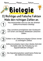 Vorschau - Unterrichtsreihen - Zellkommunikation Informationen und Arbeitsblätter - Seite 3