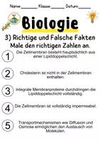 Vorschau - Unterrichtsreihen - Zellmembranstruktur Informationen und Arbeitsblätter - Seite 3