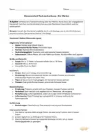 Vorschau - Klassenarbeiten - Klassenarbeit Tierbeschreibung Klasse 5/6 Thema Walhai - Seite 1