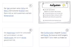 Vorschau - Aufgabenkarten - "Tiere im Winter" - Spiralsätze | Abschreibkartei - Seite 3