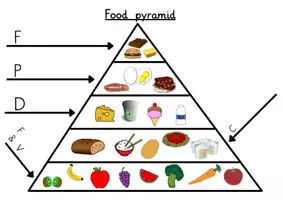 Vorschau - Arbeitsblätter - Food / Food Pyramid: Tafelmaterial & Arbeitsblatt (Ernährung) - Englisch - Kl. 3/4 - Seite 2