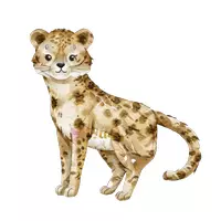 Vorschau - selbst erstellte Cliparts/Grafiken - Cliparts Wildtiere Zootiere Sticker Wasserfarbe Tiere - Seite 1