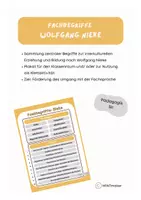 Vorschau - Poster - Nieke - Fachbegriffe (Poster/Klettaktivität) - Deckblatt