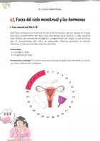 Vista previa - Unidades / Secuencias / Situaciones de Aprendizaje - Conociendo el Ciclo menstrual: Entiende tu cuerpo, emociones y bienestar - página 2
