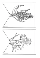 Vorschau - Mal- und Bastelvorlagen - Fensterbilder Frühling/ Frühblüher (Kunstprojekt) - Seite 1