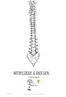 Vorschau - Merkblätter - 👩🏫💪 Hefteinträge zu WIRBELSÄULE und KNOCHEN - Deckblatt