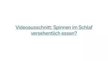 Vorschau - Stundenentwürfe - Unterrichtsstunde: Bedeutung der Spinnentiere - Seite 3