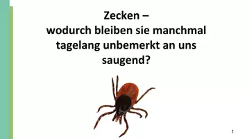 Vorschau - Stundenentwürfe - Unterrichtsstunde: Zecken (Körperbau, Lebensweise, Angepasstheiten) - Seite 2