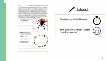 Vorschau - Stundenentwürfe - Unterrichtsstunde: Zecken (Körperbau, Lebensweise, Angepasstheiten) - Seite 3