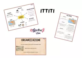 anteprima - Materiale di supporto/inclusione - Gli Ittiti: presentazione, mappa e quadro di civiltà - Pagina di copertina
