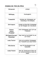 Vorschau - Arbeitsblätter - Aufgaben der Bestandteile des Ohres - Deckblatt