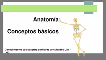 Vista previa - Unidades / Secuencias / Situaciones de Aprendizaje - Anatomía Conceptos básicos - Portada