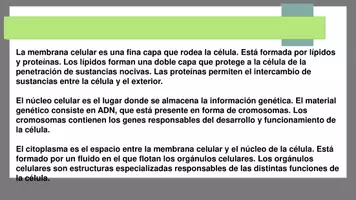 Vista previa - Unidades / Secuencias / Situaciones de Aprendizaje - Anatomía Conceptos básicos - página 2