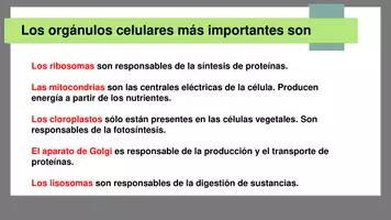 Vista previa - Unidades / Secuencias / Situaciones de Aprendizaje - Anatomía Conceptos básicos - página 3