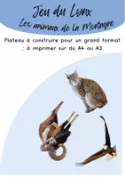 Aperçu - Jeux - Jeu du Lynx - Les animaux de la Montagne - Page de couverture