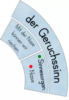 Vorschau - Poster - Legekreis Sinne - Seite 3