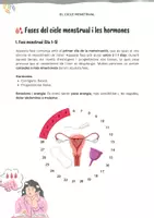 Vista previa - Unidades / Secuencias / Situaciones de Aprendizaje - Educació sobre la menstruació i el cicle menstrual: fases, hormones i benestar - página 2