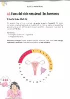 Vista previa - Unidades / Secuencias / Situaciones de Aprendizaje - Educació sobre la menstruació i el cicle menstrual: fases, hormones i benestar - página 3