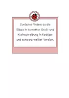 Vorschau - Arbeitsblätter - Lese - Abschreibfächer Jahreszeiten, Feiertagen und Festen - Materialpaket - Seite 1
