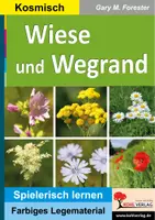 Vorschau - Spiele - Wiese und Wegrand Legestern | Wildkräuter, Wiesenblumen, Blütenfarben, Löwenzahn, Kornblume, Klatschmohn, Gänseblümchen, Montessori | Sachunterricht Biologie Grundschule Sekundarstufe Klasse 3-10 - Deckblatt