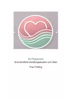 Vorschau - Arbeitsblätter - Übung Pflegeprozess Frau Frühling (Handlungssituation) - Deckblatt
