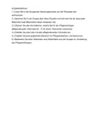 Vorschau - Arbeitsblätter - Übung Pflegeprozess Frau Frühling (Handlungssituation) - Seite 1