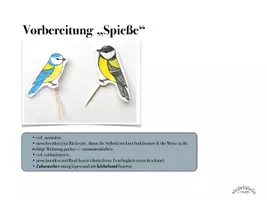 Vorschau - Mal- und Bastelvorlagen - Richtung & Meisen bestimmen: „Blau-& Kohlmeise“ Lernen mit einem Getränkekarton (binnendifferenziert; Selbstkontrolle) - inkl. Erklärvideo (Winter, Vögel, Meise) - Frühling - Seite 2