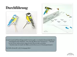 Vorschau - Mal- und Bastelvorlagen - Richtung & Meisen bestimmen: „Blau-& Kohlmeise“ Lernen mit einem Getränkekarton (binnendifferenziert; Selbstkontrolle) - inkl. Erklärvideo (Winter, Vögel, Meise) - Frühling - Seite 3