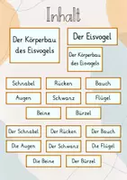 Vorschau - Präsentationen/Tafelbilder - Tafelbild: Der Körperbau des Eisvogels - Seite 1