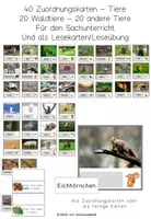 Vorschau - Stationenlernen - Materialpaket Tiere des Waldes - Stockwerke des Waldes - Wald - Seite 1