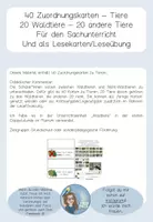 Vorschau - Stationenlernen - Materialpaket Tiere des Waldes - Stockwerke des Waldes - Wald - Seite 2