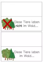 Vorschau - Stationenlernen - Materialpaket Tiere des Waldes - Stockwerke des Waldes - Wald - Seite 3