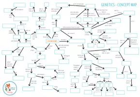 Vorschau - Arbeitsblätter - Genetics - Concept Map - Seite 1