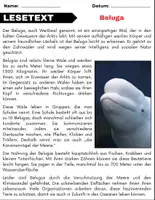 Vorschau - Spiele - Beluga: Leseverständnis und Kreuzworträtsel mit Lösungen - Seite 1