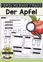 Vorschau - Arbeitsblätter - Apfel: Apfelexperimente Grundschule – Arbeitsblätter & Versuche (Klasse 1–2) | Sachunterricht Apfel erforschen - Deckblatt