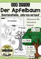 Vorschau - Arbeitsblätter - Apfel: Der Apfelbaum - Aufbau und Apfeljahr (Jahrgangsstufe 1/2) - Deckblatt