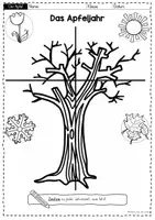 Vorschau - Arbeitsblätter - Apfel: Der Apfelbaum - Aufbau und Apfeljahr (Jahrgangsstufe 1/2) - Seite 1