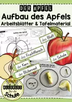Vorschau - Arbeitsblätter - Apfel: Bestandteile des Apfels Arbeitsblätter – Sachunterricht Grundschule (Klasse 1–2) | Aufbau Apfel - Deckblatt