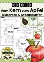 Vorschau - Arbeitsblätter - Apfel: Vom Kern zum Apfel Arbeitsblätter – Sachunterricht Grundschule (Klasse 1) | Entwicklung Apfelbaum verstehen - Deckblatt