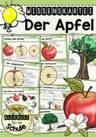 Vorschau - Fördermaterial/Inklusion - Der Apfel: Wissenskartei (Jahrgangsstufe 1/2) - Deckblatt