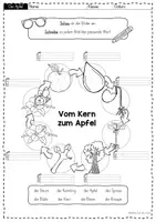 Vorschau - Arbeitsblätter - Apfel: Vom Kern zum Apfel Arbeitsblätter – Sachunterricht Grundschule (Klasse 1) | Entwicklung Apfelbaum verstehen - Seite 1