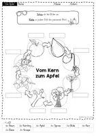 Vorschau - Arbeitsblätter - Apfel: Vom Kern zum Apfel Arbeitsblätter – Sachunterricht Grundschule (Klasse 1) | Entwicklung Apfelbaum verstehen - Seite 2