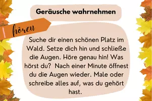 Vorschau - Unterrichtsreihen - Gesamtpaket Wald: Arbeitsblätter, Lesetexte, Kunstaufgaben, Aktivitäten, Spiele - Seite 2