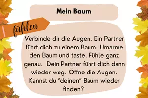 Vorschau - Unterrichtsreihen - Gesamtpaket Wald: Arbeitsblätter, Lesetexte, Kunstaufgaben, Aktivitäten, Spiele - Seite 3