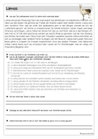 Vorschau - Arbeitsblätter - LESETRAINING | 20 Arbeitsblätter | Deutsch - Seite 2