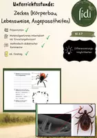 Vorschau - Stundenentwürfe - Unterrichtsstunde: Zecken (Körperbau, Lebensweise, Angepasstheiten) - Deckblatt