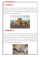 Vorschau - Spiele - Materialpaket - Komplettpaket alle meine Materialien Deutsch + Französisch wachsend Deutsch/Französisch - Seite 2