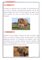 Vorschau - Merkblätter - Materialpaket - Informationstexte Tiere differenziert - Seite 1