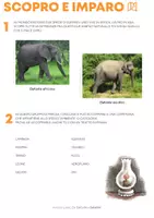 anteprima - Esercizi - Zio Elefante (Dossier pedagogico) - Pagina 1