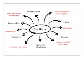 Vorschau - Arbeitsblätter - Stationsarbeit zum Thema Hund - Seite 2